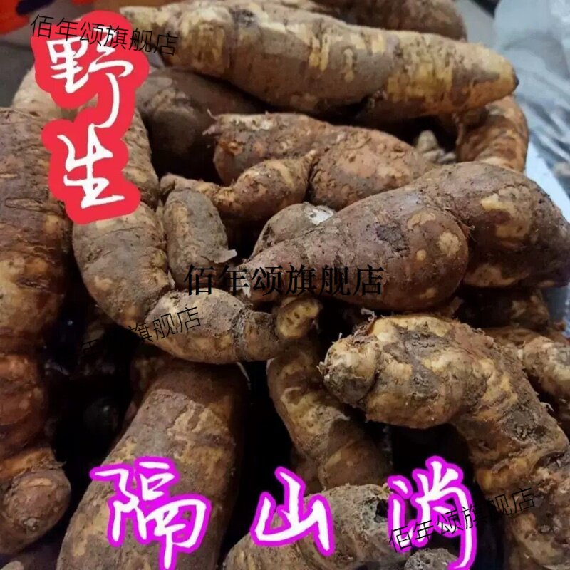 隔山撬野生白何首乌贵州