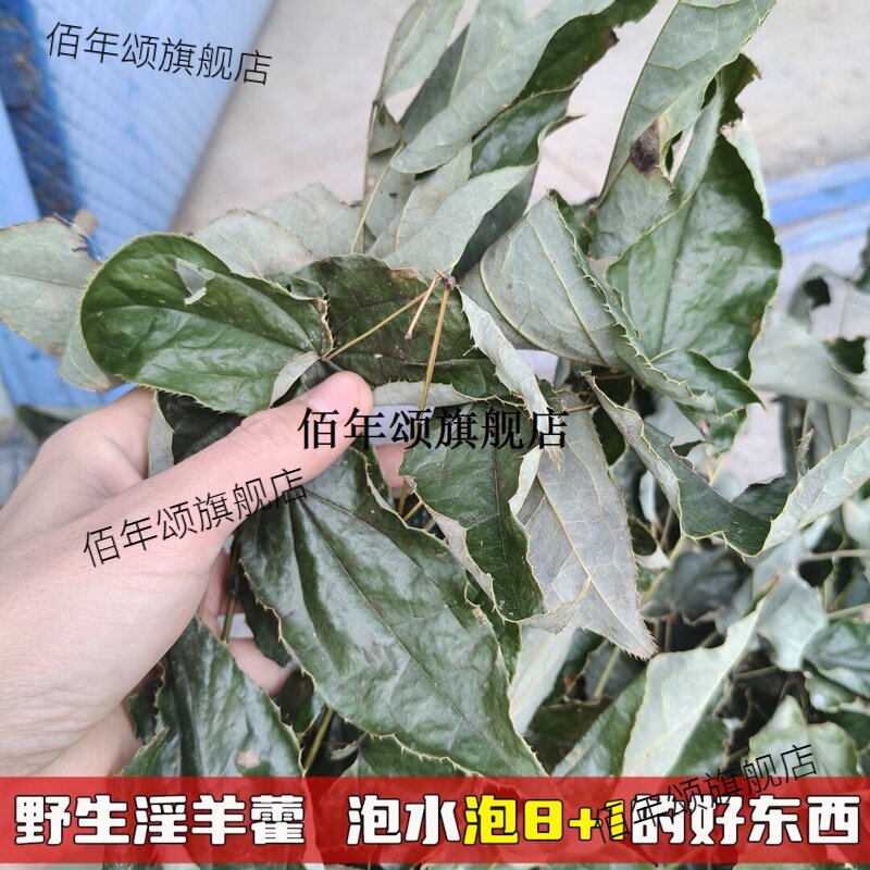 野生淫羊藿整株带根棵贵州