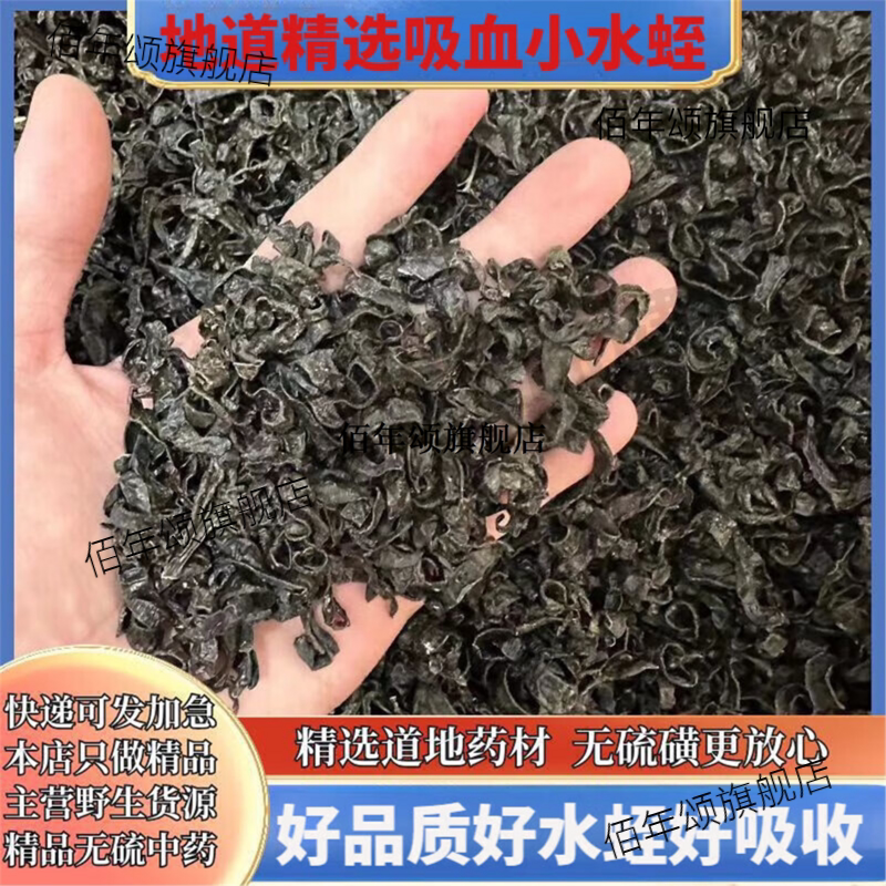 倪海夏小水蛭吸血虫原料