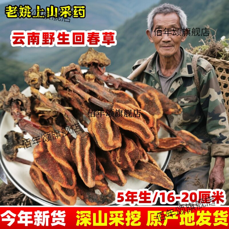 云南野生回春草500g顶天柱