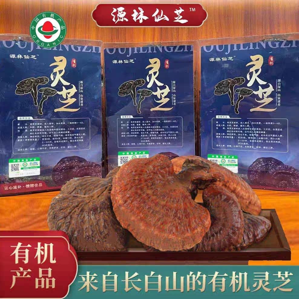 长白山有机野生赤灵芝整朵盒装