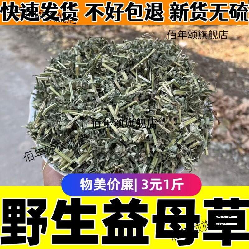 野生新鲜益母草材泡水喝晒