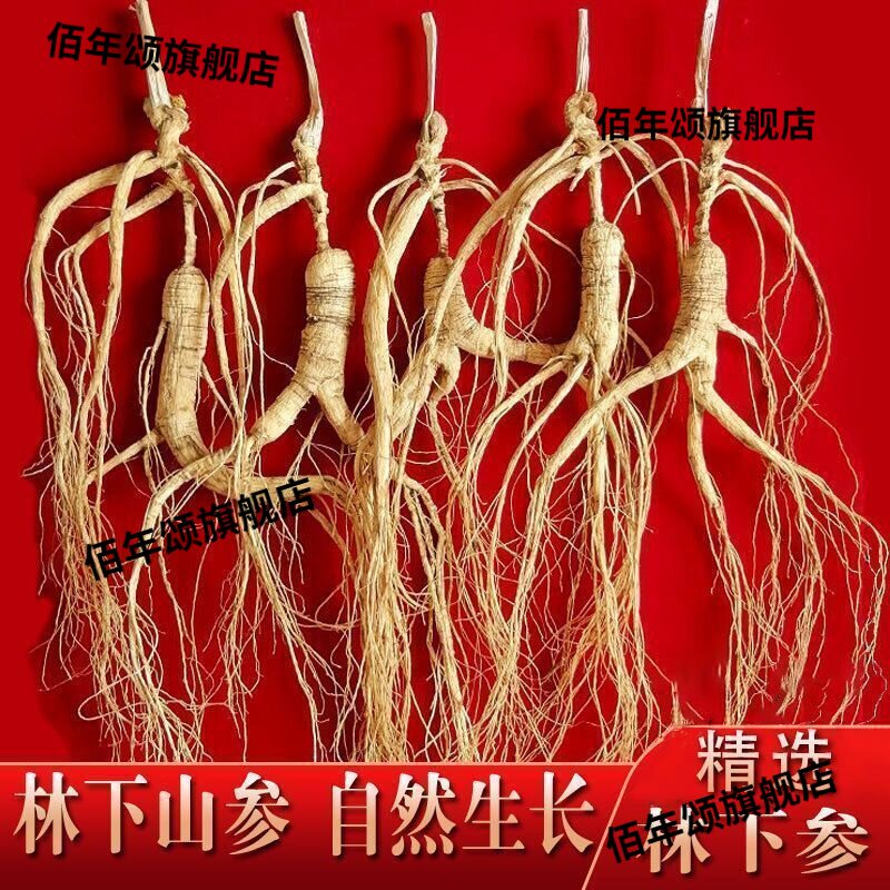 正宗长白山林下参整支秋冬进补