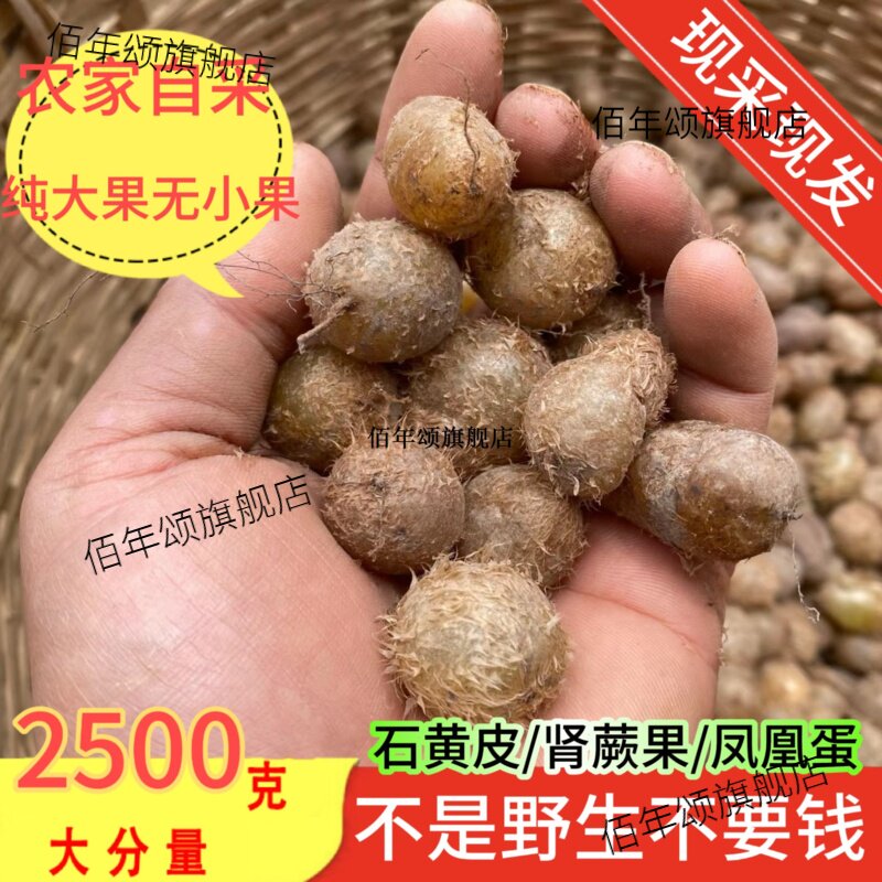 现挖野生石黄皮新鲜肾蕨果