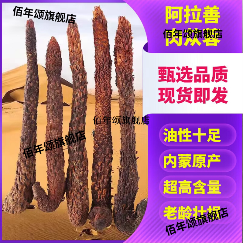 阿拉善特级肉苁蓉锁阳羊藿