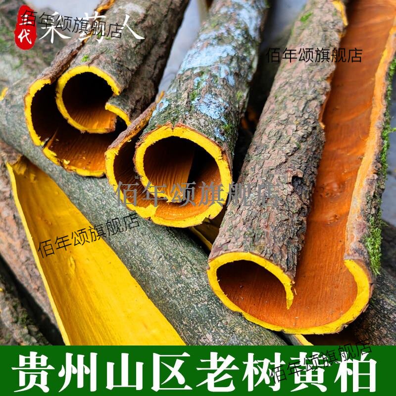 贵州材黄柏树皮川丝片关檗