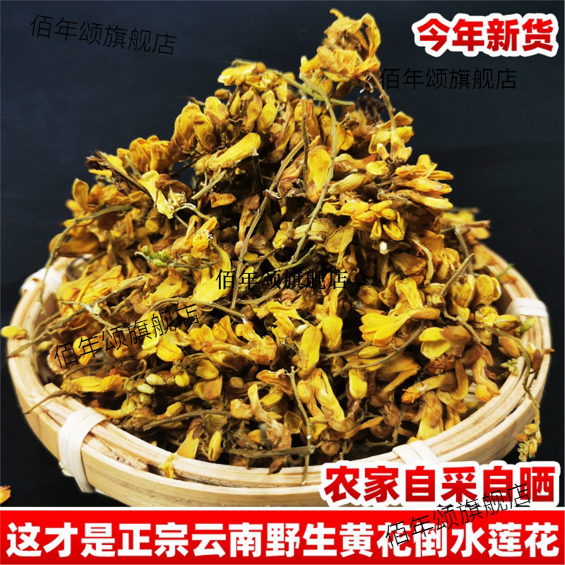 云南野生黄花倒水莲观音