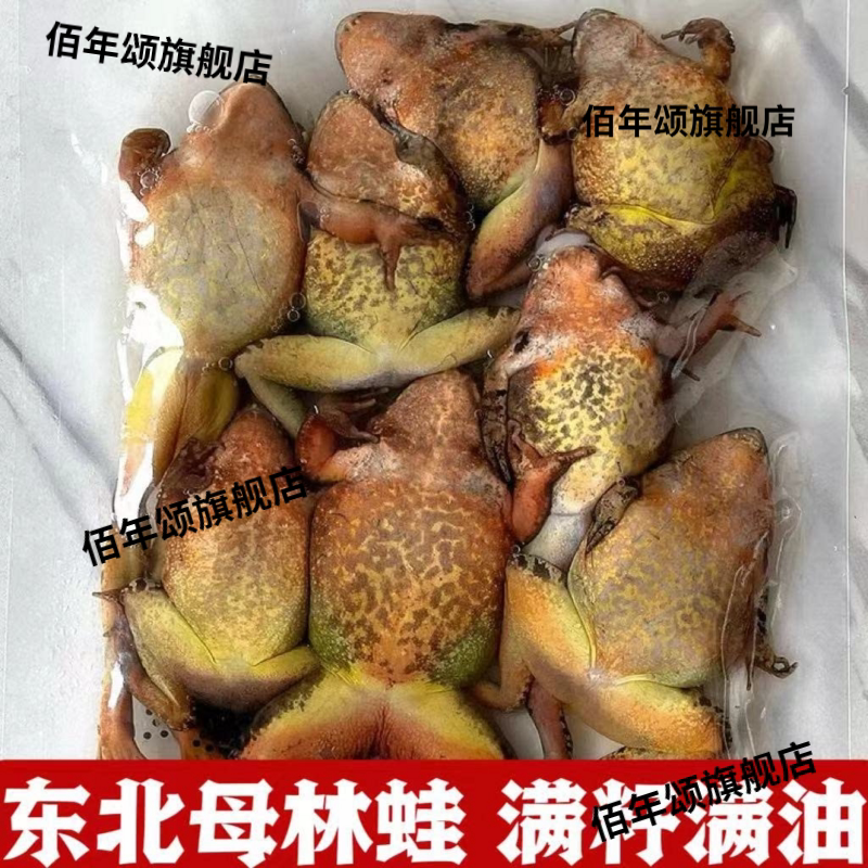东北母豹子长白山速冻林蛙