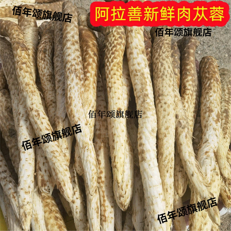 新鲜肉苁蓉内蒙古阿拉善油