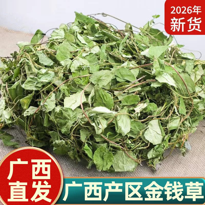 广西直发正宗广金钱草大叶干货