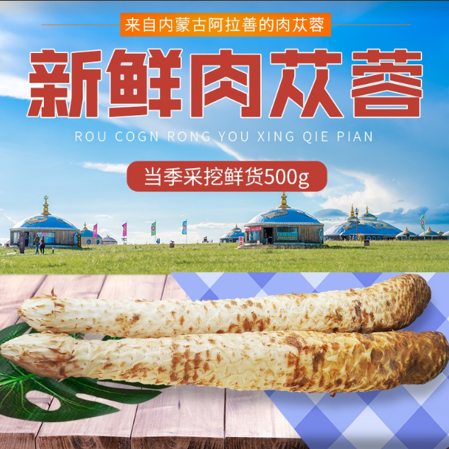 肉苁蓉新鲜材整根内蒙古阿