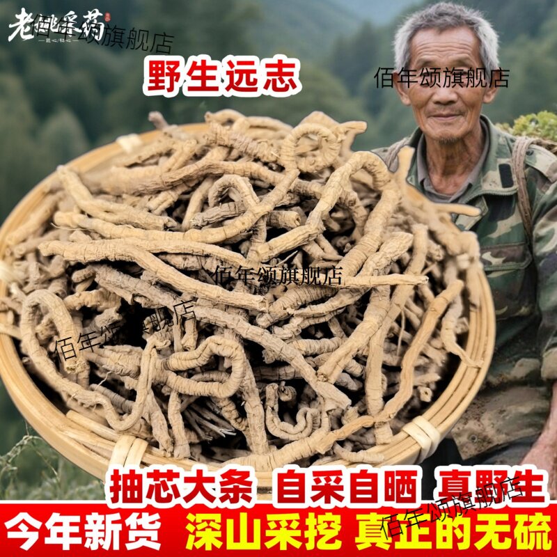 正宗野生远志新货材500g筒
