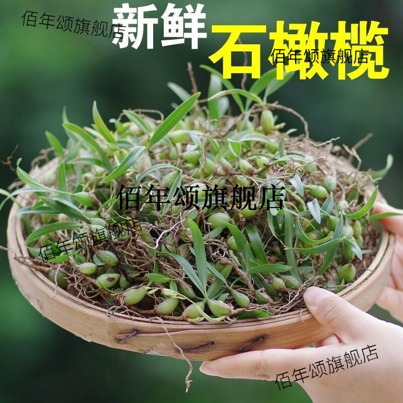 广东新鲜石橄榄双叶中小号