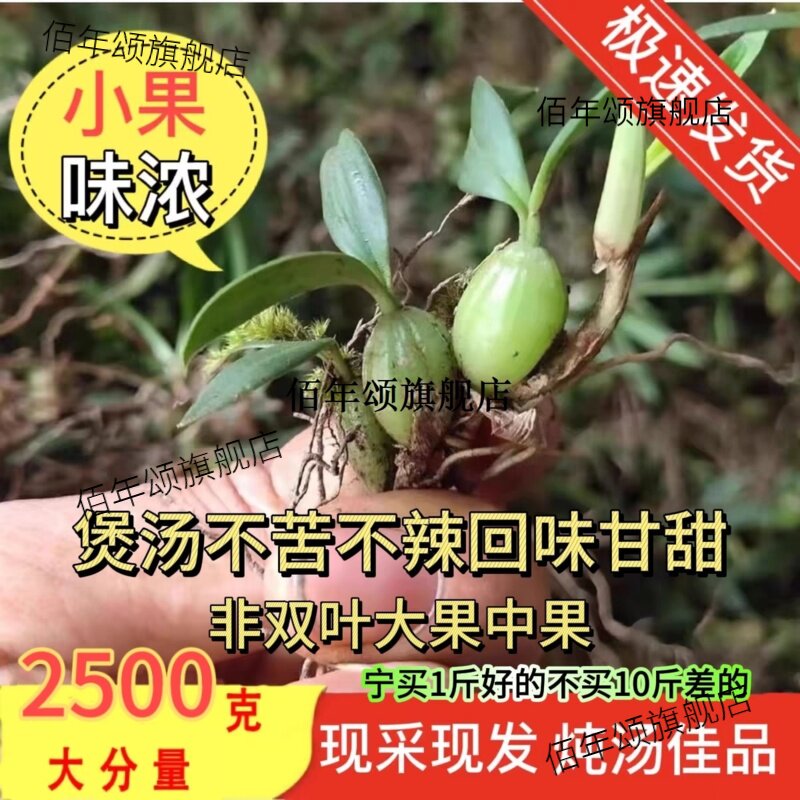 石橄榄新鲜双叶小果野仙桃