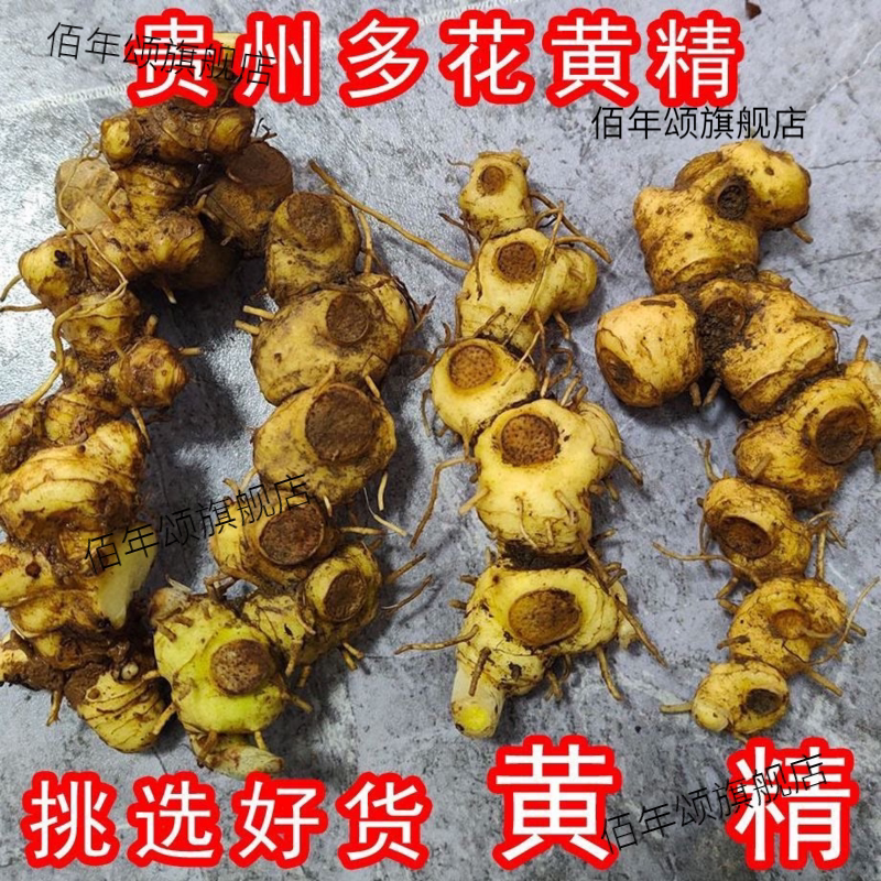 正宗多花黄精深山野生新鲜