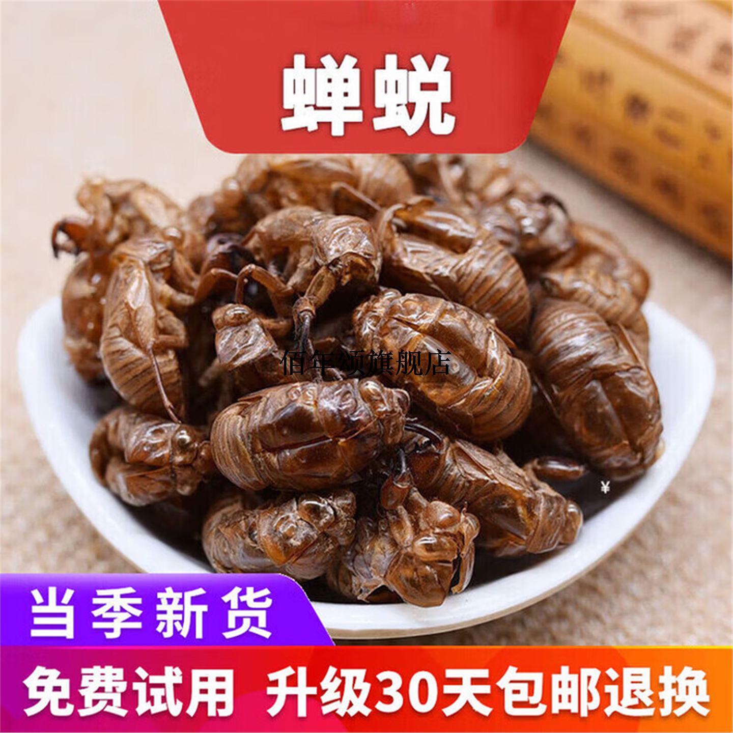 河北材蝉蜕知了皮虫蜕水洗新货