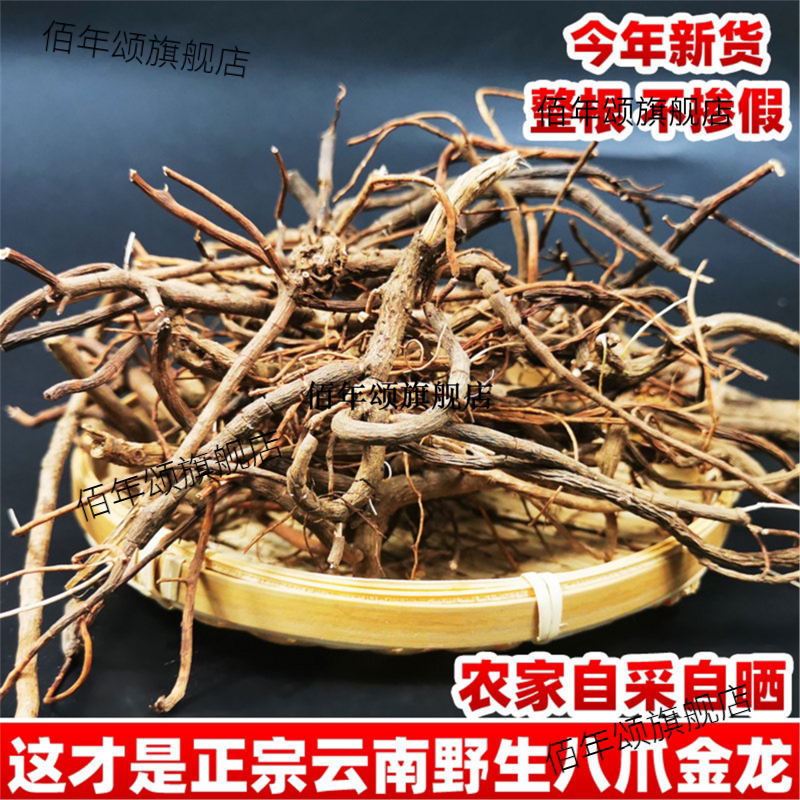 云南野生八爪金龙材整根