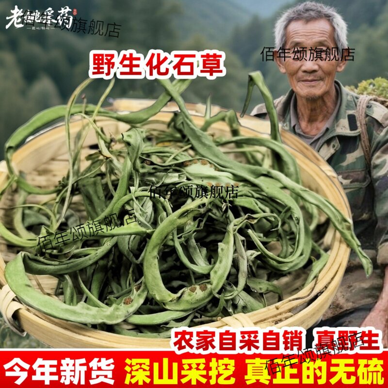 云南化石草大叶肾精茶嗷叫