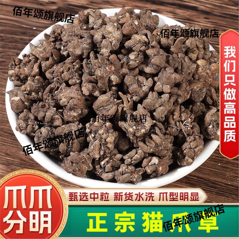 无硫水洗猫爪草材夏枯草郁金蒲公