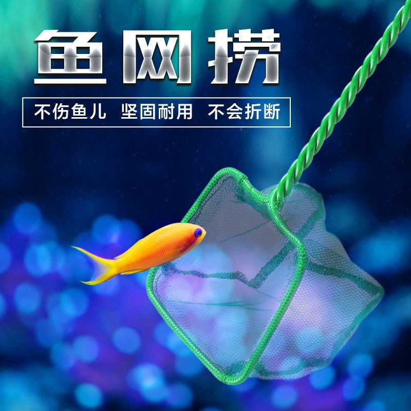 直销 水族箱配件鱼缸鱼捞网圆方形鱼捞 水族箱抄网捞网绿色