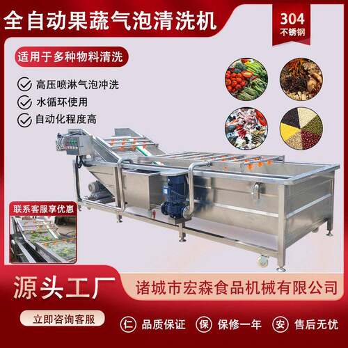 全自动荔枝柿子气泡清洗机酱菜脱盐芹菜洗菜机蓝莓瓜果气泡清洗机