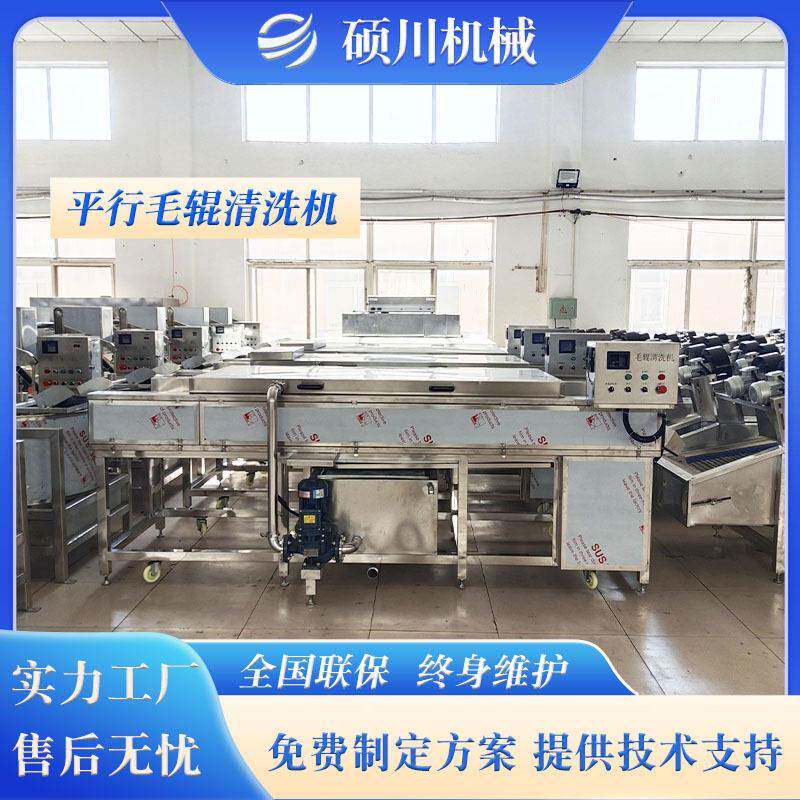 沃柑脐橙清洗分选设备生蚝清洗去泥机百香果砂糖橘平行毛辊机