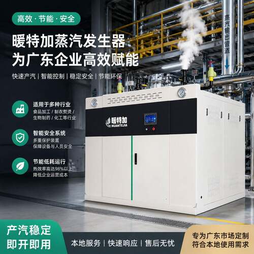 工业级1吨超低氮冷凝双体再热式蒸汽发生器工业锅炉环保合规