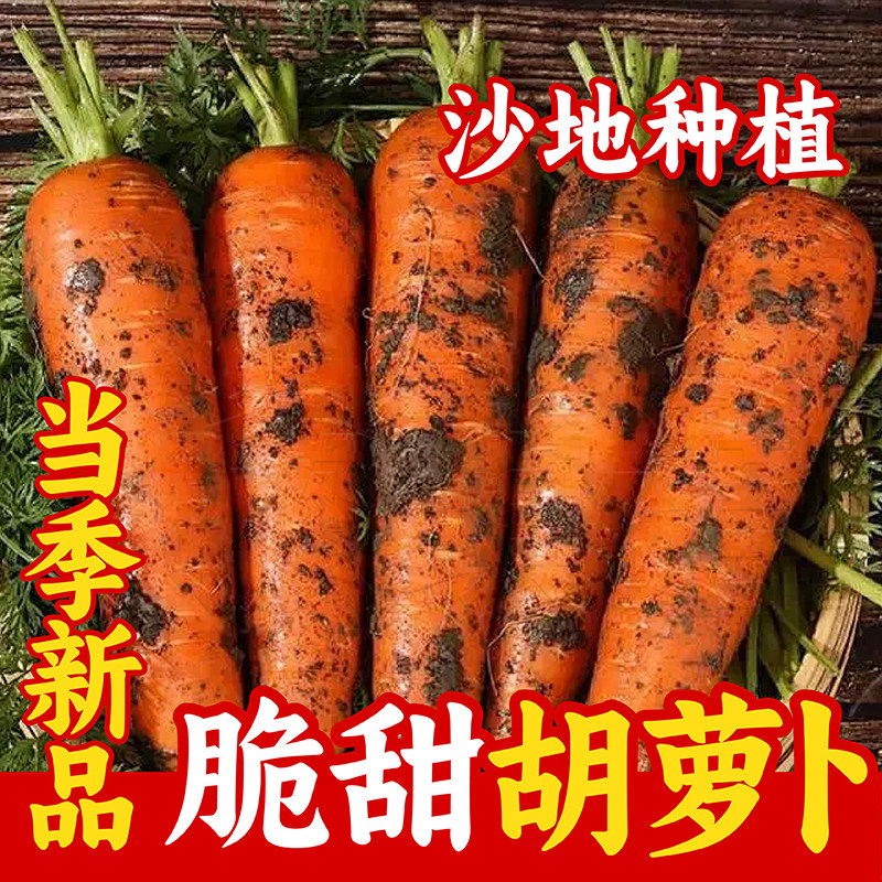 水果胡萝卜新鲜带泥现挖罗卜蔬菜红萝卜嫩甜脆型新鲜即食宝宝辅食