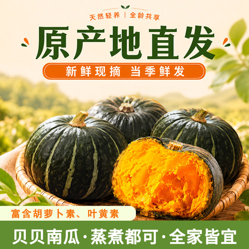 甄选山东贝贝南瓜正宗板栗味