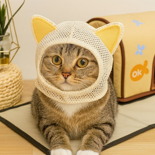 猫猫面罩宠物清洁驱虫剃毛剪指甲
