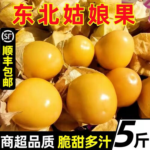 东北姑娘果新鲜现摘酸甜多汁清香
