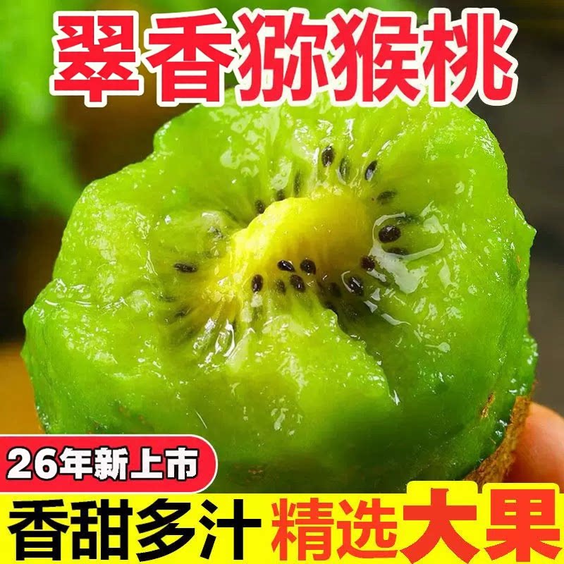 正宗陕西翠香猕猴桃应季新鲜礼盒