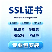 SSL证书HTTPS通配符DV单域名IP证书宝塔外贸网站安全认证协助部署