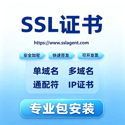 SSL证书HTTPS通配符DV单域名IP证书宝塔外贸网站安全认证协助部署