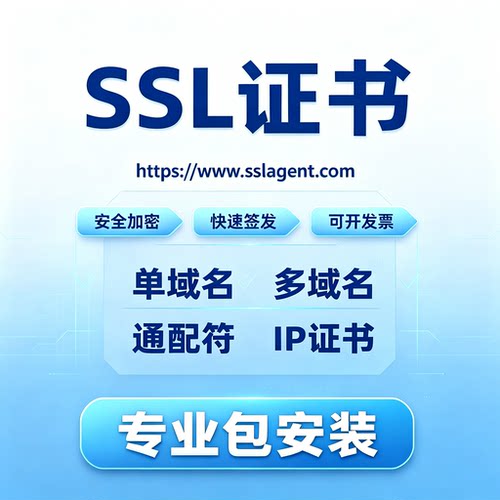 SSL证书HTTPS通配符DV单域名IP证书宝塔外贸网站安全认证协助部署