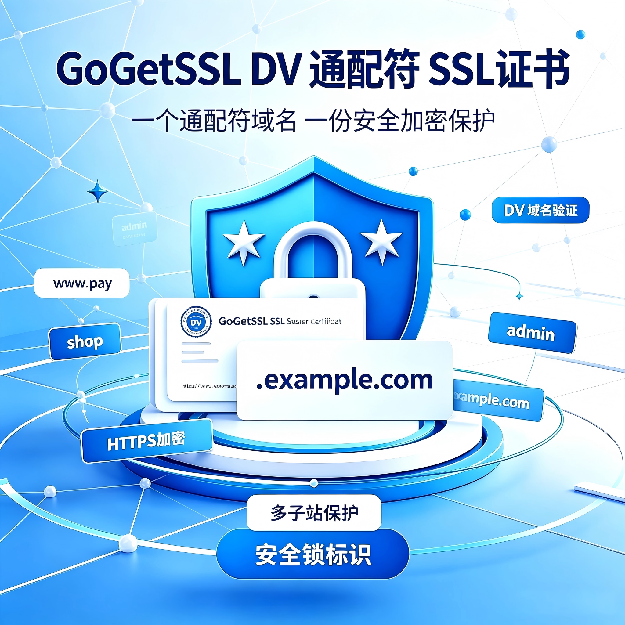 GoGetSSL‑DV通配符SSL证书全站子域名 HTTPS 加密代安装配置服务