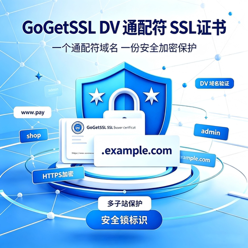 GoGetSSL‑DV通配符SSL证书全站子域名 HTTPS 加密代安装配置服务