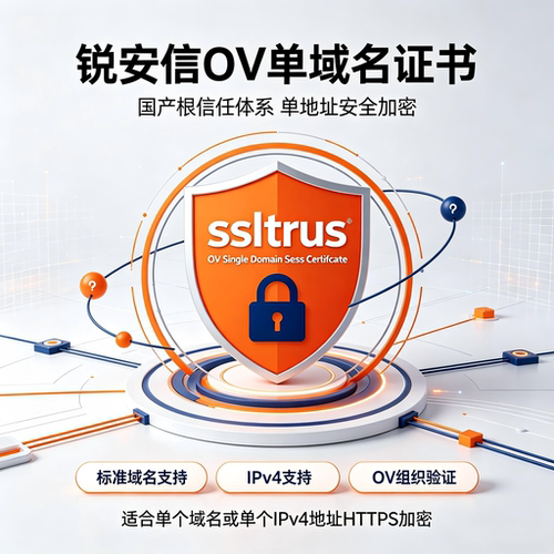(国产根)锐安信OV单域名SSL证书标准域名IPv4企业官网HTTPS加密