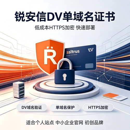 ssltrus锐安信DV单域名SSL证书域名验证网站HTTPS安全TLS加密IPV4