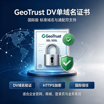 GeoTrust DV单域名国际SSL证书 支持标准域名通配符网站HTTPS加密