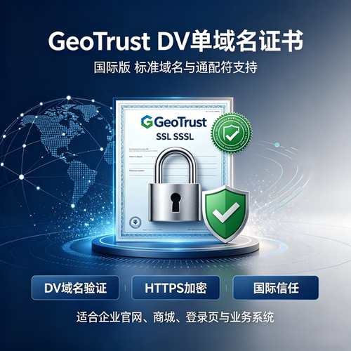 GeoTrust DV单域名国际SSL证书 支持标准域名通配符网站HTTPS加密