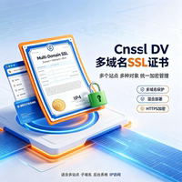 Cnssl DV多域名SSL证书支持域名通配符IPv4混合部署网站HTTPS加密