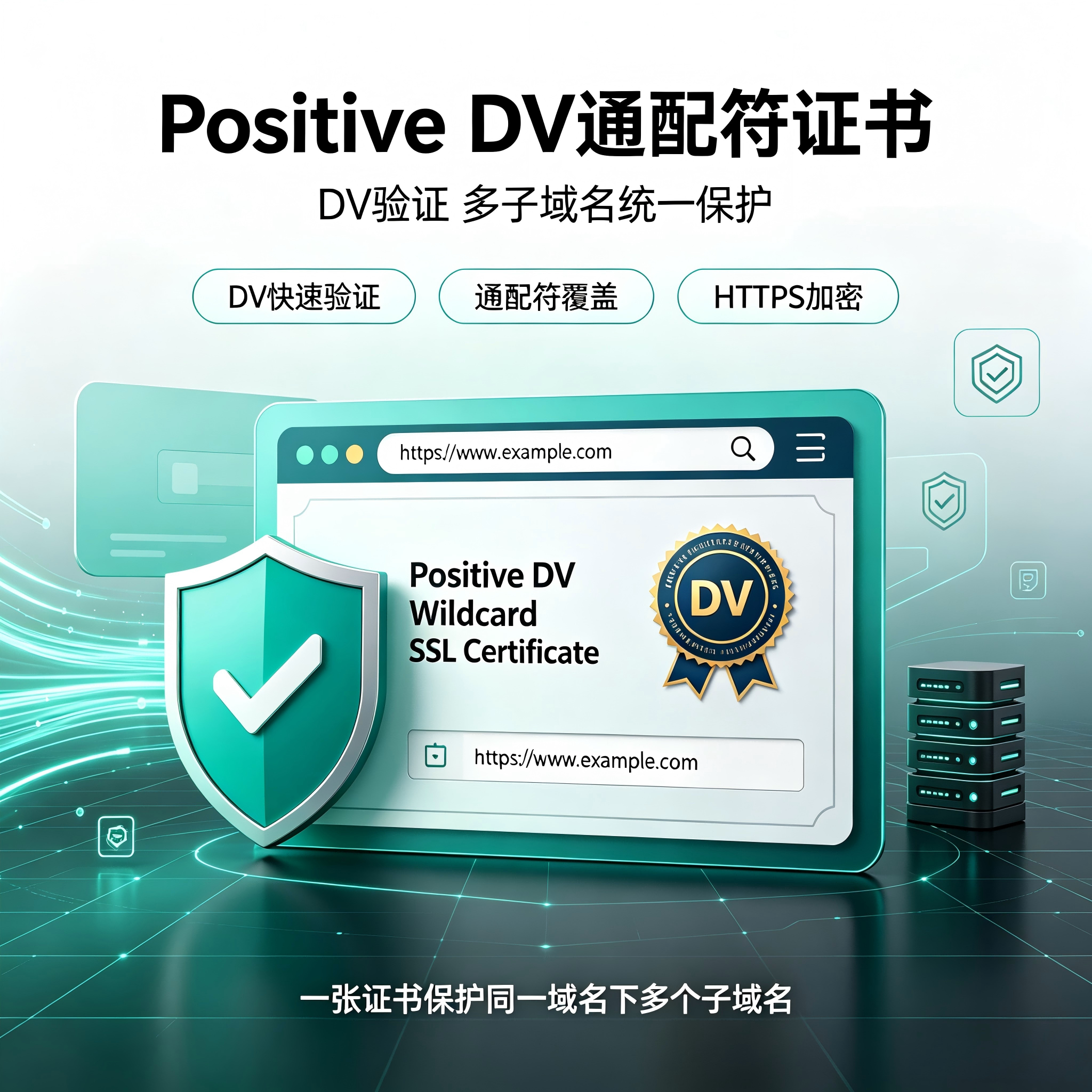 Positive DV通配符SSL证书多子域名全站HTTPS加密网站安全TLS证书