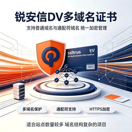 ssltrus锐安信DV多域名SSL证书标准域名通配符多站HTTPS加密安全