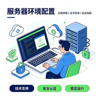 SSL证书安装部署网站迁移维护服务器环境配置HTTPS技术调试代运维