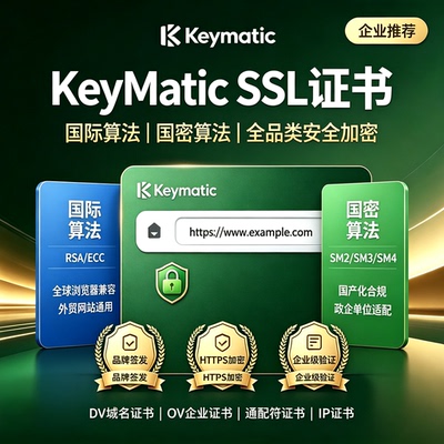 国密OV SSL证书企业认证信创合规网站HTTPS国际OV加密安全证书sm2