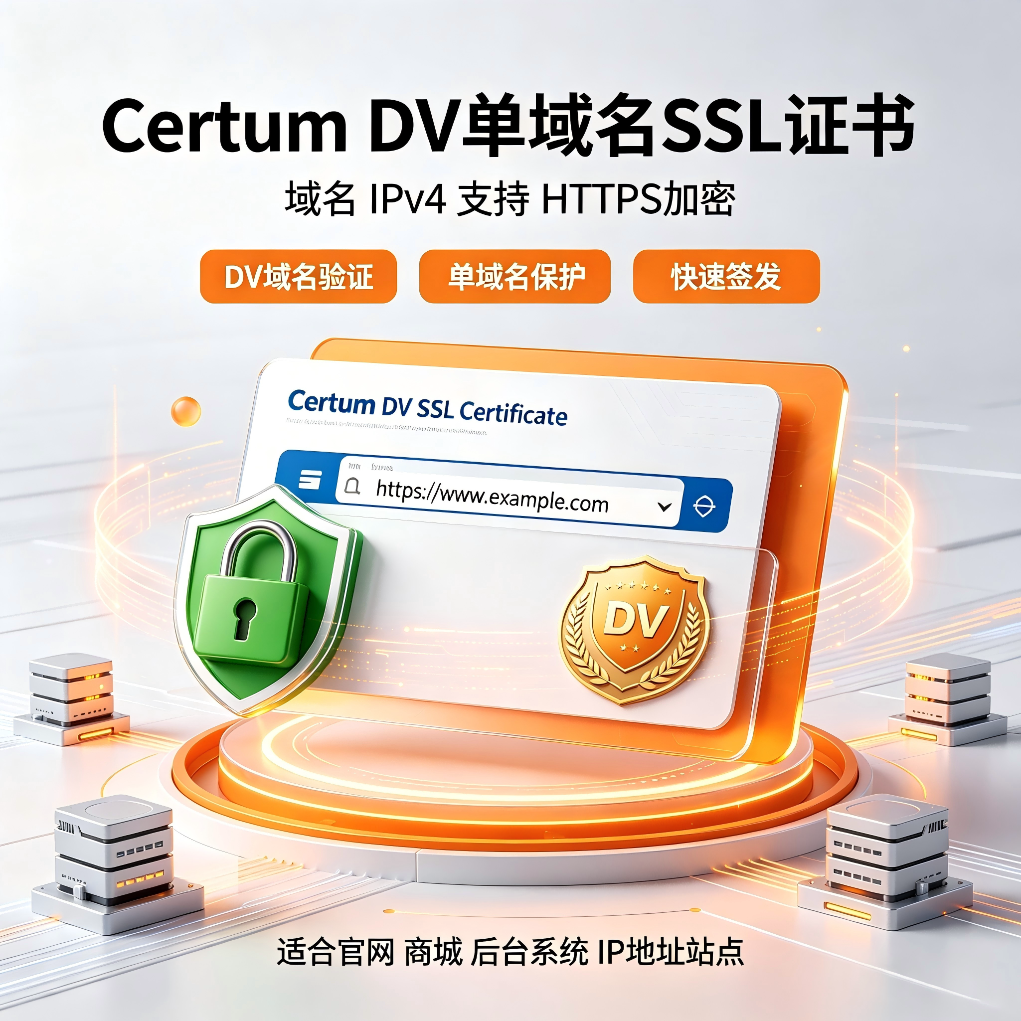 Certum DV单域名SSL证书网站IPv4 建站HTTPS加密安全证书TLS认证