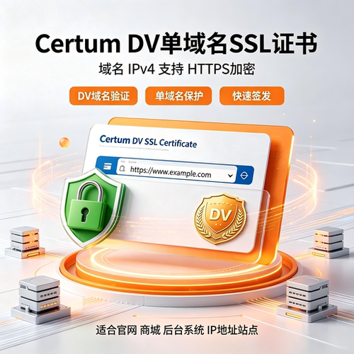Certum DV单域名SSL证书网站IPv4 建站HTTPS加密安全证书TLS认证