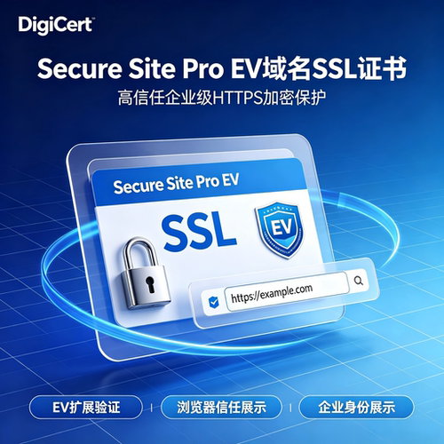 DigiCert Secure Site Pro EV国际版SSL证书企业域名网站加密证书