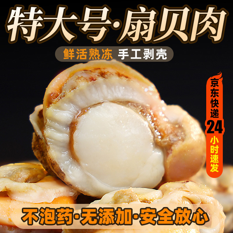 新鲜特大号扇贝肉带黄带膏鲜活冷冻无冰衣海鲜水产红贝商用批发